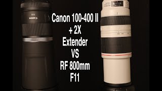 EF 100-400 II with 2X extender VS Canon RF 800mm F11 Image quality