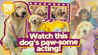 Watch this dog's paw-some acting! | Make Your Day