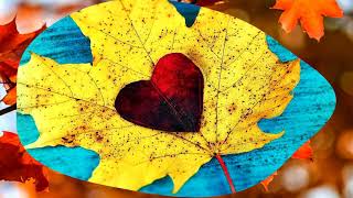 Four seasons, beautiful leaves (HD1080p)