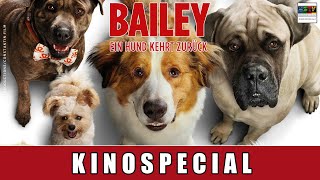 Bailey - Ein Hund kehrt zurück - Kinospecial I Kathryn Prescott I Dennis Quaid I Max Felder