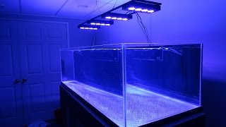 205g Reef Build - Water Test - Leveling Stand - E15