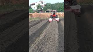 #kubota #maycay #Short #Shosts Máy cày Kubota L5018 phay lên luống hiệu qủa #tractorvideo #farmer