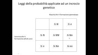 Genetica mendeliana: seconda parte