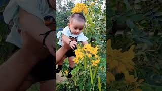 Ranain Ali at Dino park Karachi