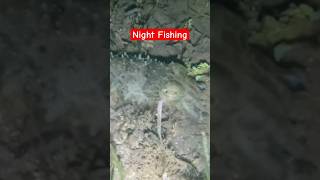 Night Fishing