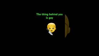 The thing behind you is gay