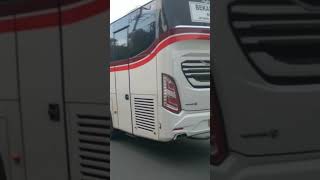 Bis PRIMAJASA avante H7 | Merak - Bekasi #bismaniacomunity #videoshort