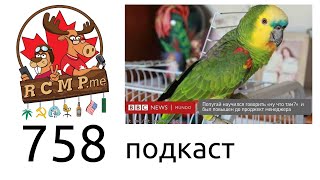 Попугай-менеджнент или кому стоит жить в США? - 758 подкаст