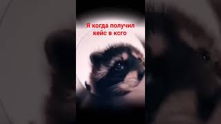 #рекомендации #shortvideo #врек #реки #видео #енотик