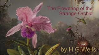 The Flowering of the Strange Orchid by H G Wells (1905)