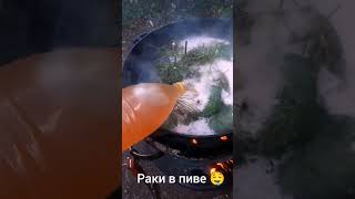 Раки в пиве