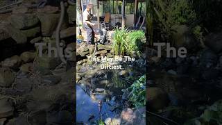 The DIRTIEST Pond We’ve Cleaned! #satisfying #relaxing #nature #ponds #work #waterfall #cleaning