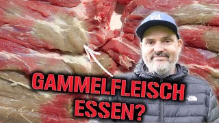 Survival Extrem: Tot gefundene Tiere essen?