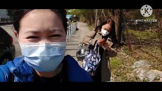 TAI PO WATERFRONT IN HONGKONG || HOW TO GET THERE? FULL VIDEO HERE👇