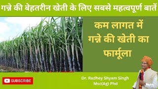 गन्ने की बेहतरीन खेती के लिए सबसे महत्वपूर्ण पांच बातें | गन्ने की खेती | Cultivation of Sugarcane