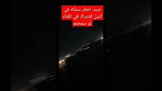 اخطر سمكه في النيل 360 فولت