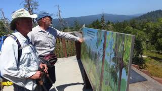 Henry Cowell Redwoods