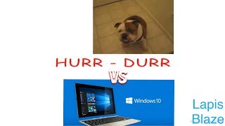 Hurr-Durr Virus on Windows 10 (DOES NOTHING)