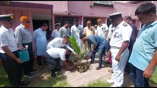 Tree plantation at NMI in observance of 15th August 2022