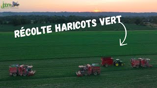 🌱Récolte de haricots verts 🌱3X machines bourgoin / 2X 7530 SARL JPBM