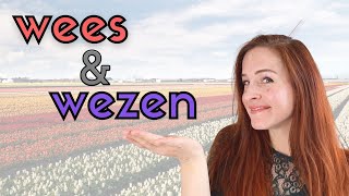 WEES & WEZEN in Dutch: Wees eens stil! // Wees blij dat... // Dat zal me een zorg wezen... (NT2 B1)