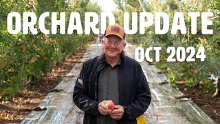 Orchard update OCT 2024