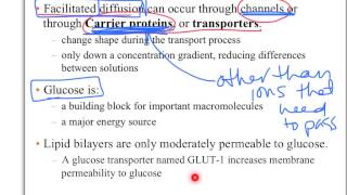 Biol 107 Lecture membrane transport