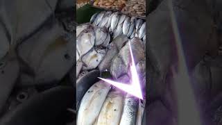 Ikan Segar Fresh Siap Dikirim