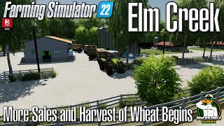 FS22 - Elm Creek  - More Sales and Harvest of Wheat Begins - #107