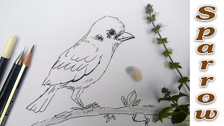 How to Draw Sparrow Easy Step by step | World Sparrow Day.