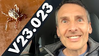 VLOG 23.023 Pushups - How to Stop a Mugging - Oral Surgery - Door Installation