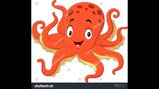 Octopus video