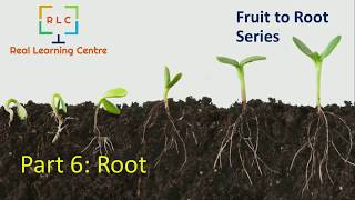 Fruit to Root Dialogue - Part 6 - Root