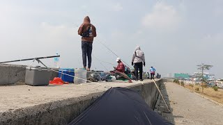 Dhan channel sedang live sekarang!mancing di dam merah muara baru Minggu 12 mei 2024