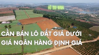 Vì cần tiền mở rộng kinh doanh nên đành lòng bán lô đất dưới giá ngân hàng định giá