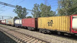 SECTION ALWAYS CLOGGED WITH FREIGHTS || RAJPURA PATIALA SECTION