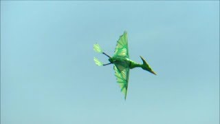 PTERODACTYL  SEEN  FLYING  OVER  SHEPPEY