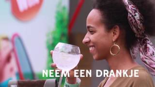 Gent Jazz Festival 2017: Cashless & JazzProfiel