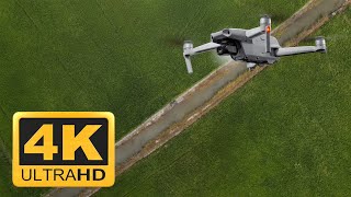 4K Video | Boeung Prek Lpou | 90-degree aerial rice field 2