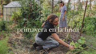 Plantamos la Huerta de Verano, Receta de Huevos y cómo hacer Lardo - Cultivando Nuestra Comida