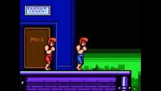 Double Dragon 2