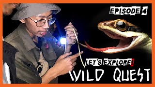 HERPING MALAM | Let's Explore - WILD QUEST (Episode 4)