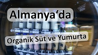 Almanya'da YUMURTA ve Süt  fiyatları - organik çiftçilerden nasıl alınır?