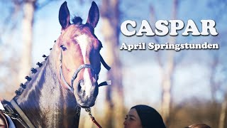 Caspar Springstunden im APRIL