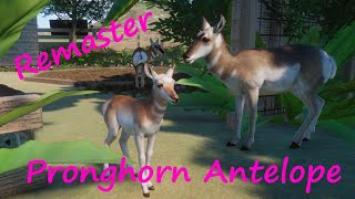 Pronghorn Antelope Remaster and New Variants by Gabboi - Planet Zoo Mod