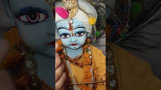 Hare Krishna Radha Radha kyon kar rahe ho#krishu #ladduu #trendingshorts #viralvideo #newtrend