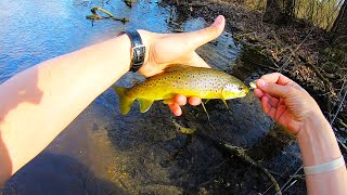 Wild Brown Trout on the BREECHES - Day 1