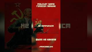 Ленин поёт Я не коммунист Molchat Doma AI cover