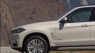 The BMW X5