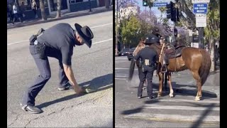 Clean It Up: Man Makes Police Officers Clean Up Horse Sh*t!